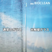 光触媒ガラス